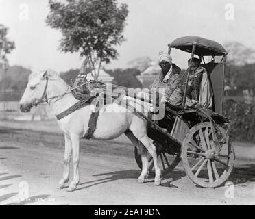 Foto tardo 19 ° secolo: Ekka, carrozza a cavallo, hackney, India Foto Stock
