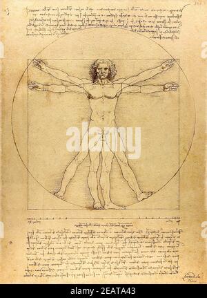 L'uomo Vitruviano disegnato da Leonardo da Vinci nel 1492. Foto Stock