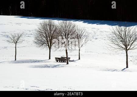 Winterlandschaft, Taunus Foto Stock