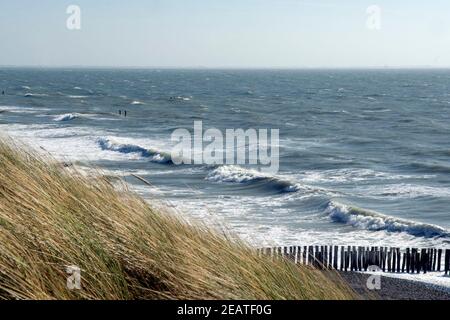 Kueste, Westkapelle Foto Stock