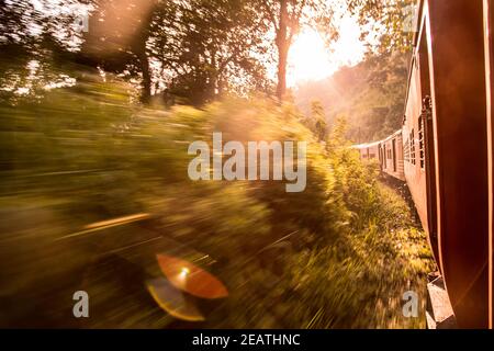 Treno rosso che viaggia attraverso una lussureggiante foresta con luce solare Foto Stock