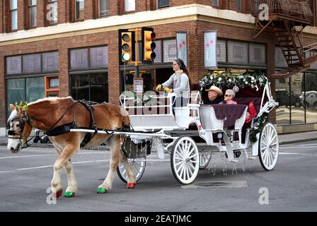 Una coppia anziana partecipa a un tour in buggy trainato da cavalli a San Antonio, Texas. Foto Stock