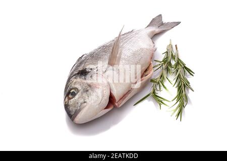 Pesce dorato crudo con rosmarino bianco isolato Foto Stock