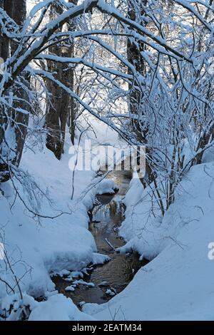 A beautiful winter landscape with lots of snow with trees by a stream Foto Stock