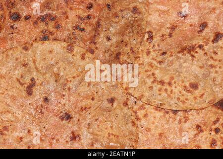 Paratha tradizionale - closeup macro con fuoco selettivo di fatto in casa pane oleoso Foto Stock