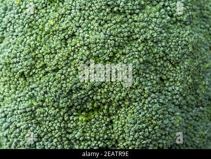 Primo piano di broccoli sullo schermo Foto Stock