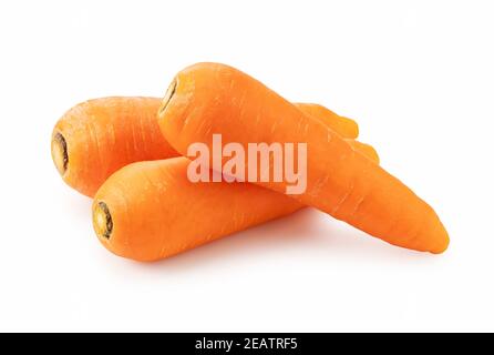 Le carote fresche su sfondo bianco Foto stock - Alamy