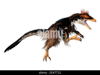 3D rendering Dinosaur Deinonychus su bianco Foto Stock