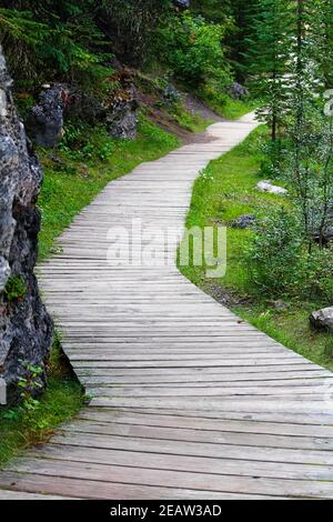 Un percorso curvo in legno lungo una parete rocciosa forestale Foto Stock