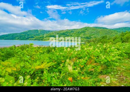 Diga del lago Chubetsu (Hokkaido Kamikawa-gun) Foto Stock