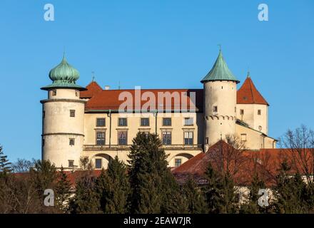 Antico castello medievale a Nowy Wisnicz. Polonia Foto Stock