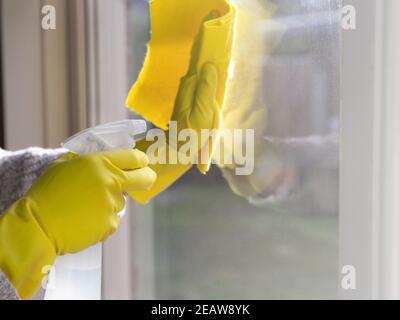 Pulizia di una finestra con detergente spray, guanti in gomma gialla e panno per stoviglie sulla superficie di lavoro per il concetto di igiene, business e salute Foto Stock