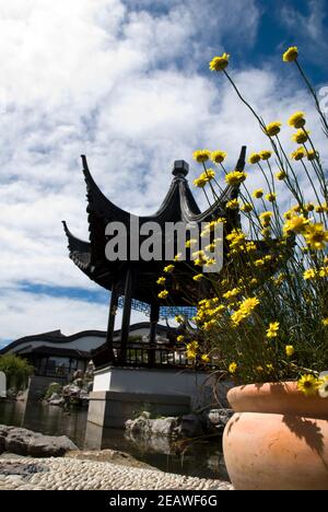 LAN Yuan Chinese Garden, Dunedin, Isola del Sud, Nuova Zelanda. Foto Stock