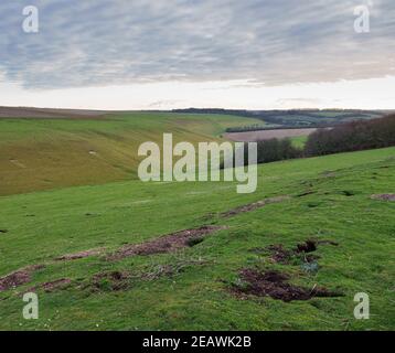 Guardando giù una lunga valle con campi di erba verde, terra rossa e bosco viola invernale sotto un cielo luminoso inverno, Nord Wessex Downs AONB Foto Stock