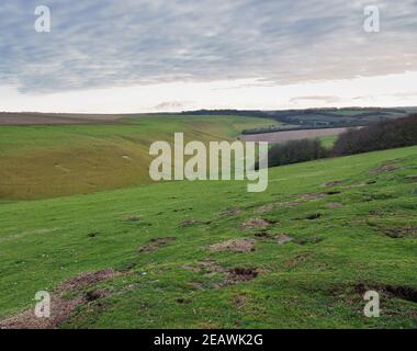 Guardando giù una lunga valle con campi di erba verde, terra rossa e bosco viola invernale sotto un cielo luminoso inverno, Nord Wessex Downs AONB Foto Stock