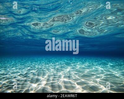 fotografie subacquee in acque cristalline del mediterraneo per sfondo Foto Stock