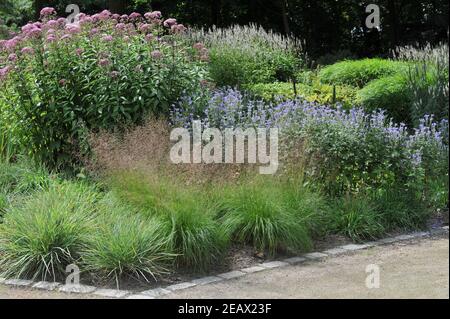 HAMM, GERMANIA - 15 AGOSTO 2015: Impianto in stile prato perenne progettato da Piet Oudolf nel giardino Nature Designs nel Maximilianpark Foto Stock