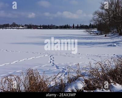 Paese delle meraviglie invernali! Scene da tutto il lago Dow's e l'Arboretum, Ottawa, Ontario, Canada. Foto Stock