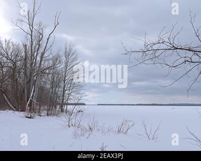 Bellissimo paesaggio invernale canadese ghiacciato vicino al fiume Ottawa a Petrie Island, Ottawa, Ontario, Canada. Foto Stock