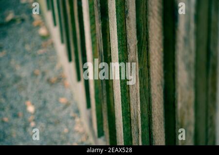 Immagine di primo piano della parete di legno di un piccolo cottage nella foresta Foto Stock