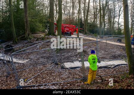 Aylesbury vale, Buckinghamshire, Regno Unito. 10 febbraio 2021. Un attivista anti HS2 guarda come un picker ciliegia arriva nei boschi. Gli ecologisti che lavorano per conto di HS2 Ltd stavano facendo indagini su pipistrelli in Jones Hill Wood oggi. Gli ecologisti stavano mettendo gli endoscopi nei roosts potenziali del bat che potrebbero avere disturbato tutti i pipistrelli di ibernazione. Si ritiene che i pipistrelli barbastelle molto rari si ruggano in questo bosco. HS2 stanno progettando di distruggere una grande parte di questo antico bosco per il controverso collegamento ferroviario ad alta velocità da Londra a Birmingham. Credit: Maureen McLean/Alamy Live News Foto Stock