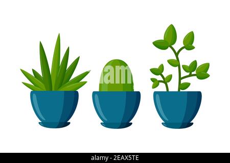 Set di piante in vaso. Piante succulente in stile cartoon. Illustrazione vettoriale isolata su sfondo bianco Illustrazione Vettoriale