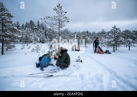 Sci alpinismo nel Parco Nazionale di Torronsuo, Tammela, Finlandia Foto Stock