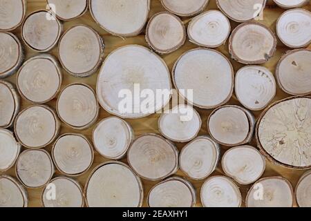 sfondo fatto di talee di betulla, vista dall'alto Foto Stock