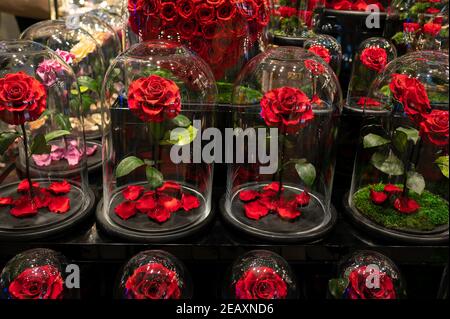 Fiori di rosa di lusso in vetro per un regalo romantico perfetto per una persona cara. Giorno di San Valentino, anniversario o giorno di donne presente astratto Foto Stock