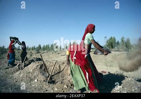 Asia, India, Rajasthan, scena rurale, lavoratrici manuali donne che costruiscono autostrada Foto Stock