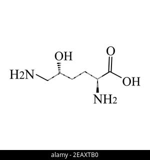L'idrossilisina è un amminoacido. Formula chimica molecolare idroxilisina amminoacido. Illustrazione vettoriale su sfondo isolato Illustrazione Vettoriale
