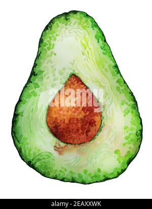 Avocado frutto disegnato a mano colore vegano. Isolato su sfondo dipinto bianco. Wet pennello wash illustrazione concetto di cibo sano Foto Stock