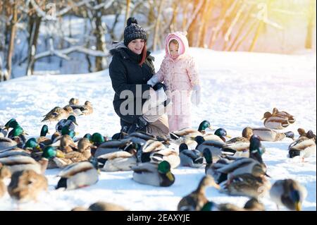 Madre e figlia nutrire anatre selvatiche in inverno luminoso e soleggiato giorno Foto Stock