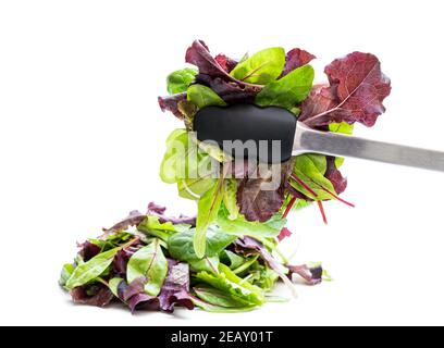 Pinze con mix di foglie di insalata isolato su bianco Foto Stock