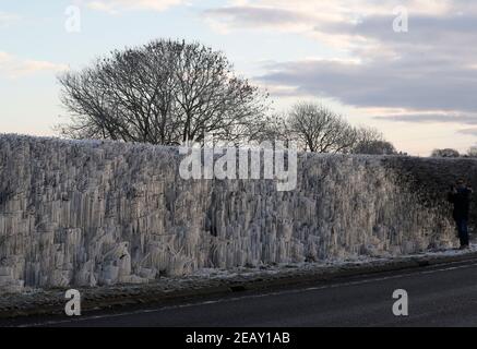 Uppingham, Rutland, Regno Unito. 11 Febbraio 2021. Meteo nel Regno Unito. Un uomo fotografa le Icicles che si sono formate su una siepe mentre la temperatura nel Regno Unito è crollata al suo più basso in un decennio. Credit Darren Staples/Alamy Live News. Foto Stock