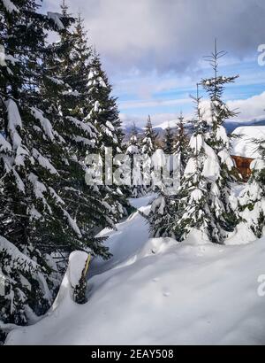 Vista invernale da un Lodge in montagna con alberi sempreverdi coperti di neve e cielo nuvoloso, a Ranca, Romania Foto Stock