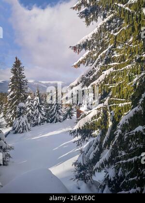 Vista invernale da un Lodge in montagna con alberi sempreverdi coperti di neve e cielo nuvoloso, a Ranca, Romania Foto Stock