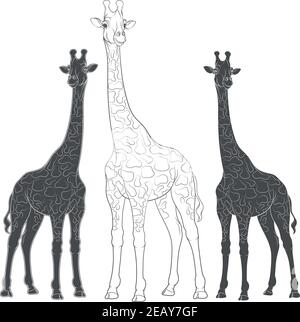 Serie di illustrazioni vettoriali con giraffe. Oggetti isolati su sfondo bianco. Illustrazione Vettoriale