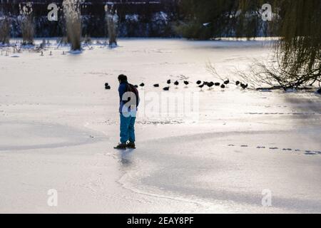 ZUTPHEN, PAESI BASSI - 10 febbraio 2021: Pattinatore di ghiaccio ricreativo visto da dietro cavalcare in proprio sul lago ghiacciato naturale nel freddo pomeriggio di sole Foto Stock