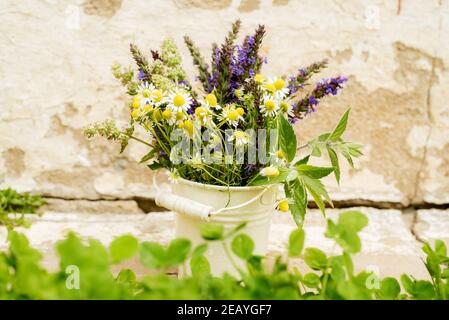 Bouquet di fiori di tè. Camomilla, balsamo al limone e menta. Dieta sana. Mattina nel villaggio. Sfondo di legno Foto Stock