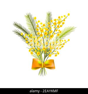 Un bouquet di mimose. Illustrazione vettoriale Illustrazione Vettoriale
