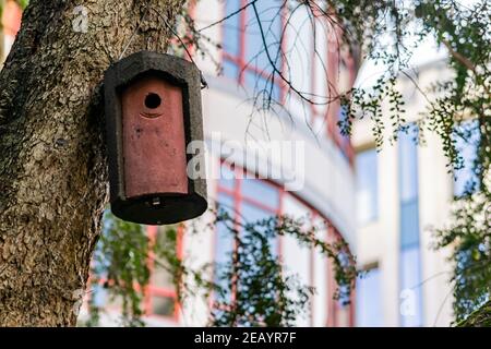 Casa per uccelli fatta a mano appesa su un albero in colori marrone e rosso, forma cilindrica o casa per uccelli con un piccolo foro per l'ingresso al centro, sfocato Foto Stock