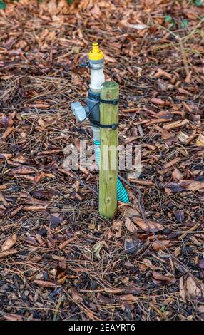 Sistema di irrigazione da giardino con tubo flessibile e raccordo da il terreno su palo di legno Foto Stock