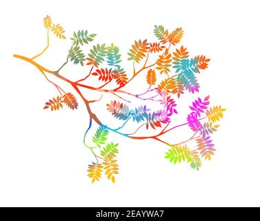 Ramo di albero estivo con foglie fresche multicolore. Foglie di rowan. Illustrazione vettoriale Illustrazione Vettoriale