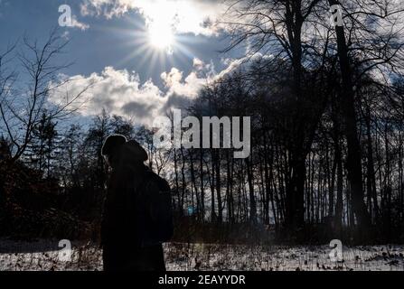 Schleswig-Holstein, Plön, 11 febbraio 2021: Il sole splende una foresta innevata sul lago Plöner di Ostholstein. Foto: Axel Heimken/dpa Credit: dpa Picture Alliance/Alamy Live News Foto Stock