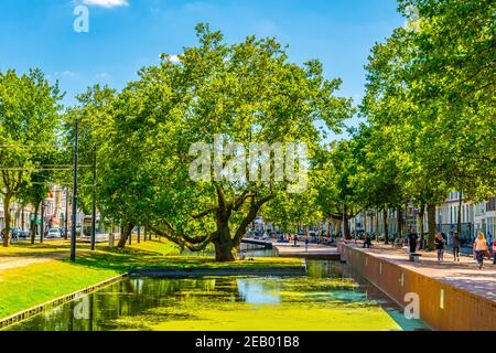 ROTTERDAM, PAESI BASSI, 5 AGOSTO 2018: Canale Westersingel a Rotterdam, Paesi Bassi Foto Stock