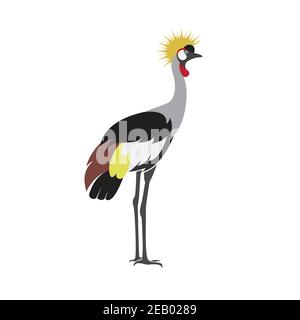Vettore di disegno di uccello di gru coronata (gru coronata africana)) su sfondo bianco. Icona uccello Illustrazione Vettoriale