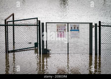 Alluvione del Reno il 5 febbraio. 2021, campi da tennis allagati nel quartiere poll, gate, recinto, Colonia, Germania. Hochwasser des Rhein am 5. Febbraio Foto Stock