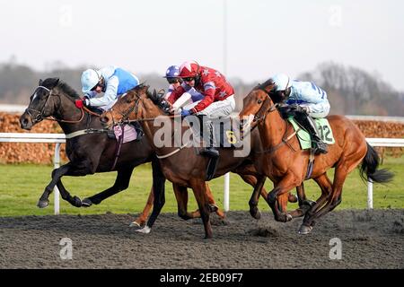 Tom Bellamy Riding Royal Pretender (a sinistra) vince la vbet.co.uk 'Jumpers' Bumper' NH Flat Race (Div 2) presso l'ippodromo di Kempton Park a Sunbury-on-Thames, Surrey. Data immagine: Giovedì 11 febbraio 2021. Foto Stock