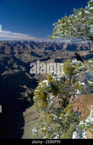 Crow Canyon Foto Stock